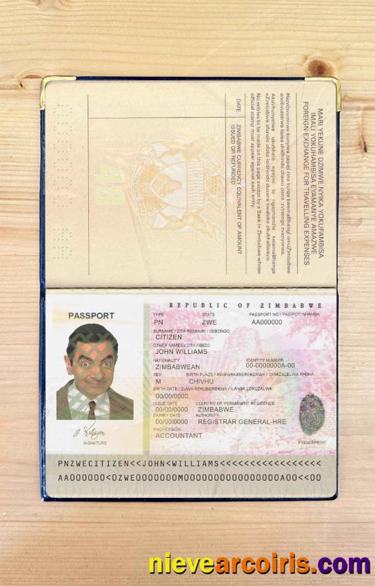 Zimbabwe Passport Photo Look Template