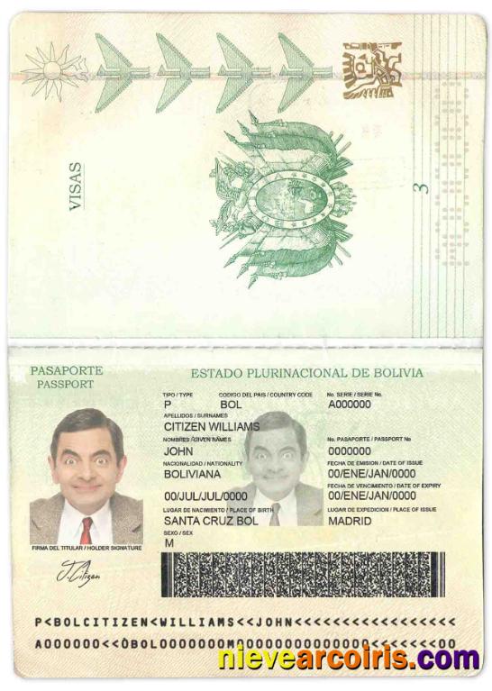 Bolivia Passport Preview