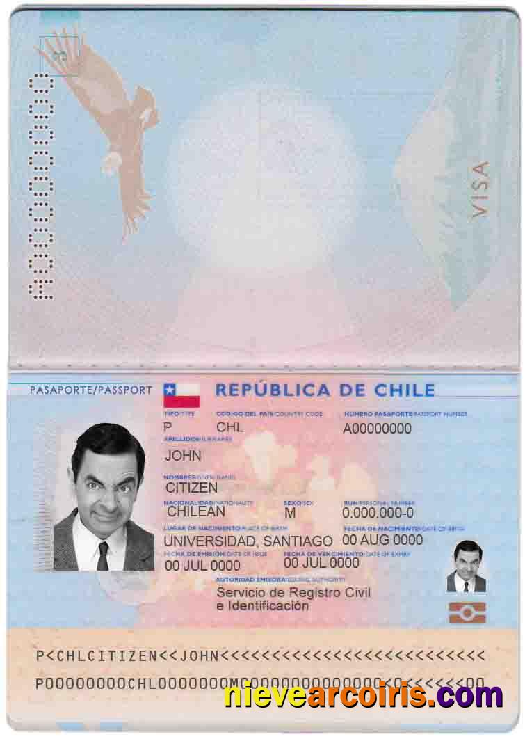 Chile Passport Photolook