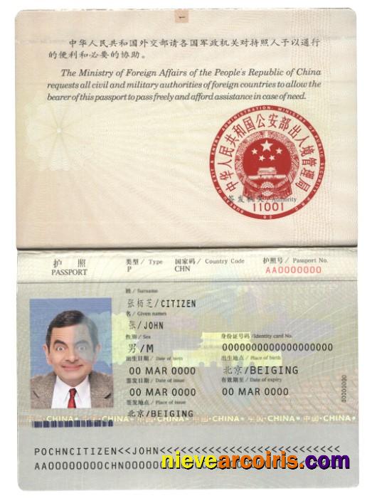China Pass (2007 2009) Template