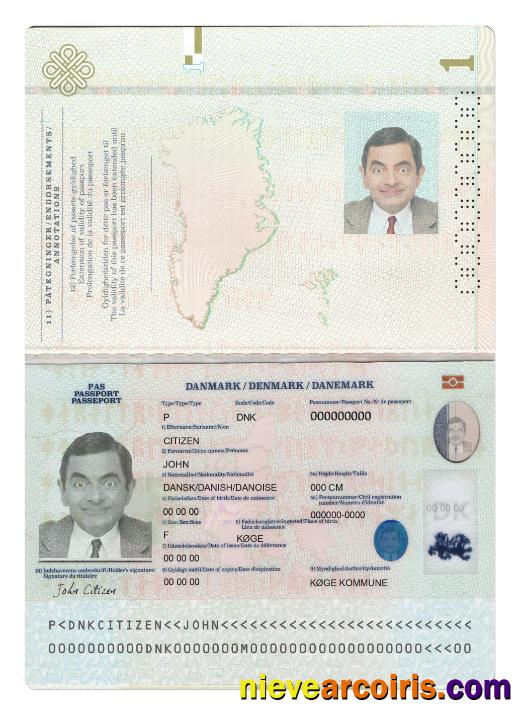 Denmark Passport 2022 Present Preview