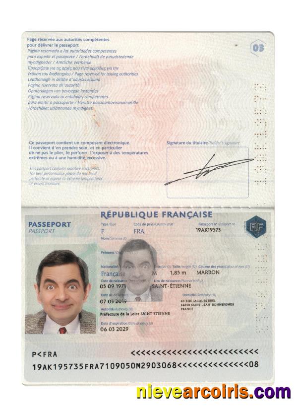 France Passport 2019 Present Photolook