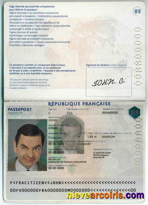 France Passport Template
