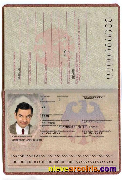 Germany Passport (2005 2017) Photolook