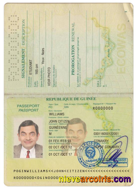 Guinea Passport Version 2 Preview