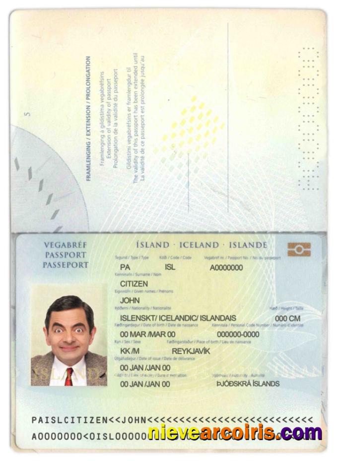 Iceland Passport Photolook
