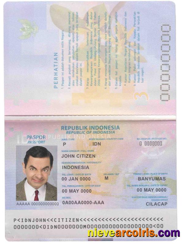 Indonesia Passport Photolook
