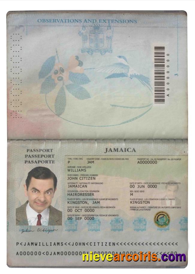 Jamaica Passport Photolook