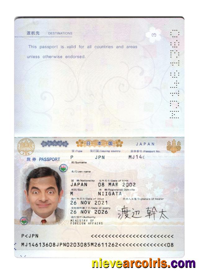 Japan Passport 2021 Present Template