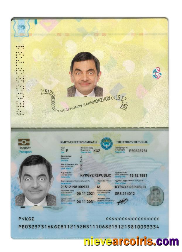 Kyrgyz Passport 2021 Present Photolook