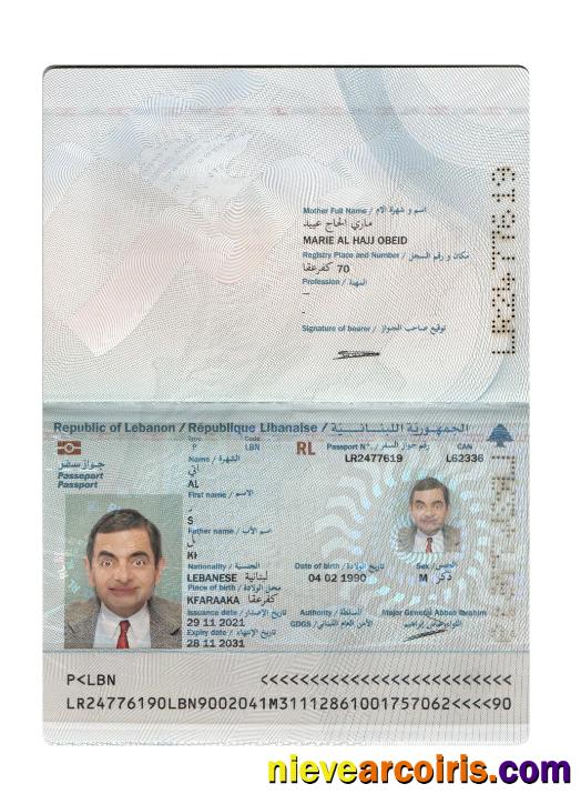 Lebanon Passport 2021 Present Photolook