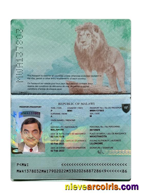 Malawi Passport 2023 Present Photolook