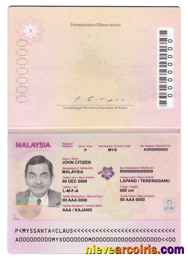 Malaysia Passport (2010 2017) Preview