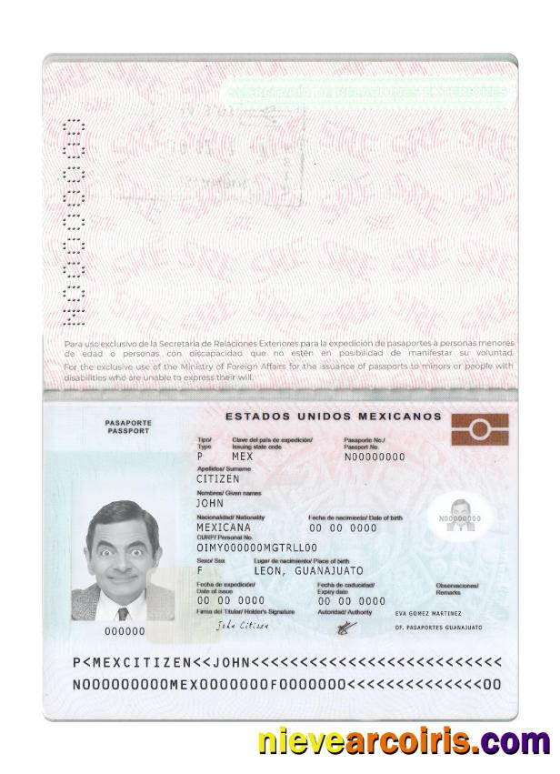 Mexico Passport New 2022 Present Sample