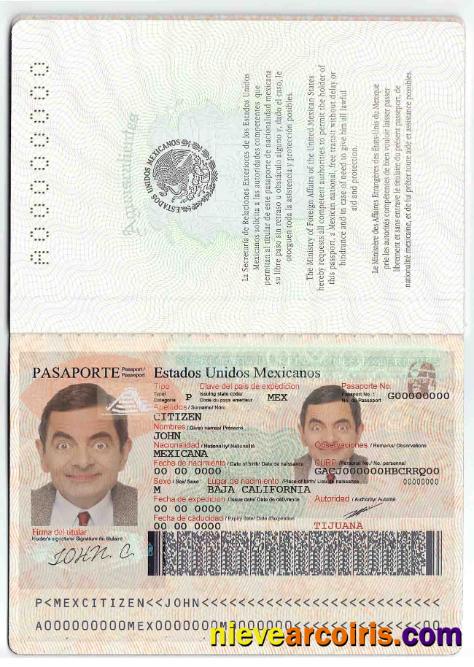 Mexico Passport Preview