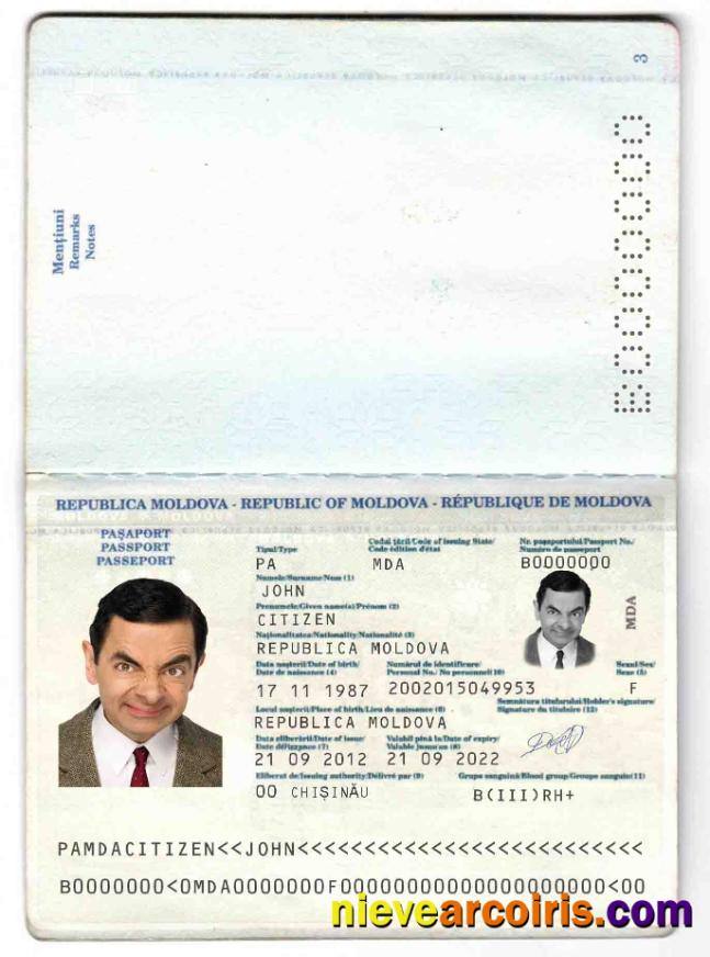 Moldova Passport (2011 2014) Photolook