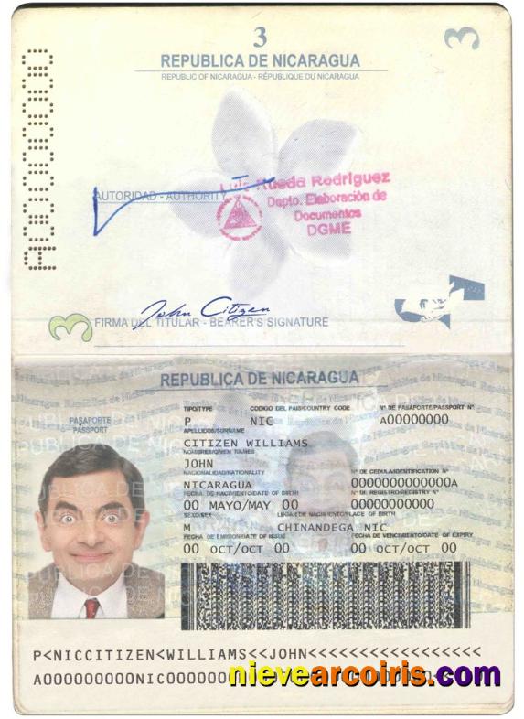 Nicaragua Passport Photolook