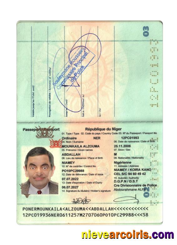 Niger Republic Passport 2022 Present Template