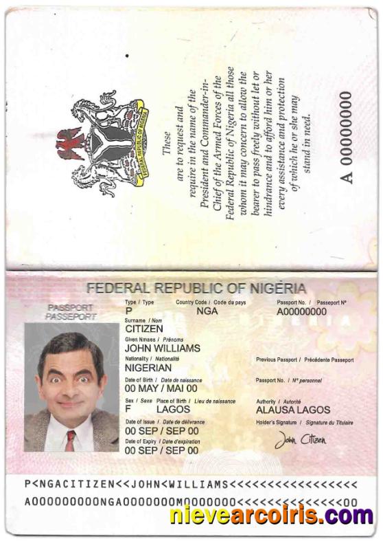 Nigeria Passport (2007 2019) Photolook