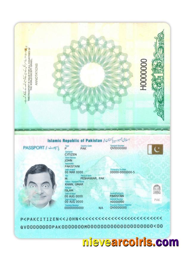 Pakistan Passport 2023 Present Sample