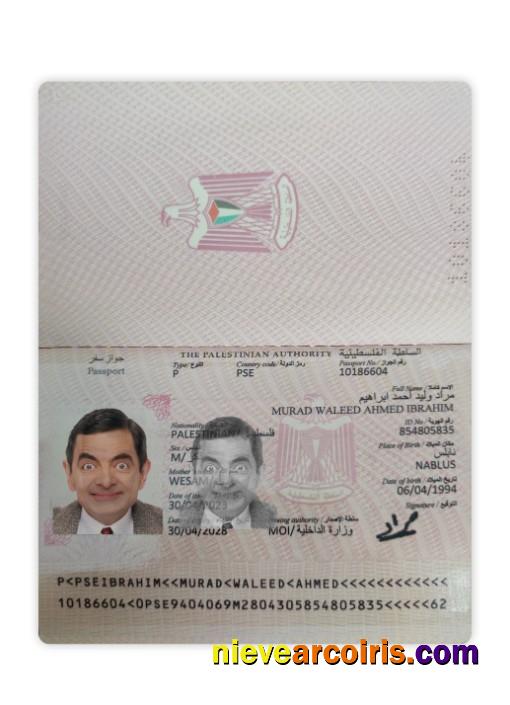 Palestine Passport 2023 Present Template