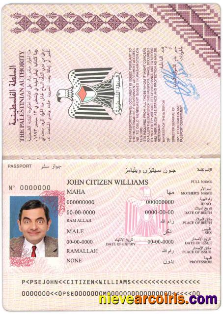 Palestine Passport Preview