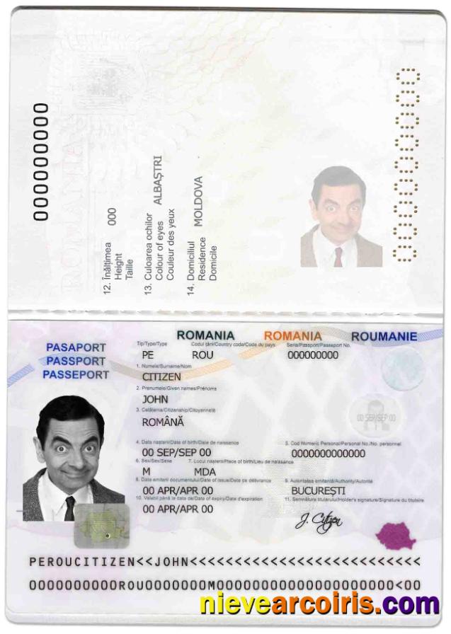 Romania Passport Photolook