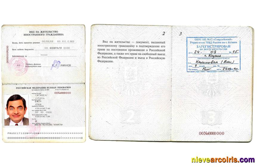 Premium Russian Federation Residence Permit For A Foreign Citizen PSD Template