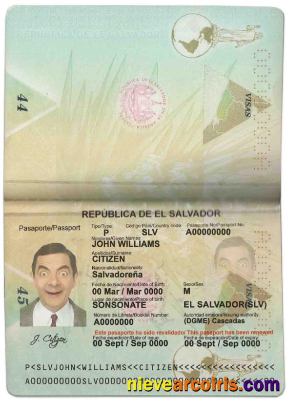 Salvador Passport Photolook