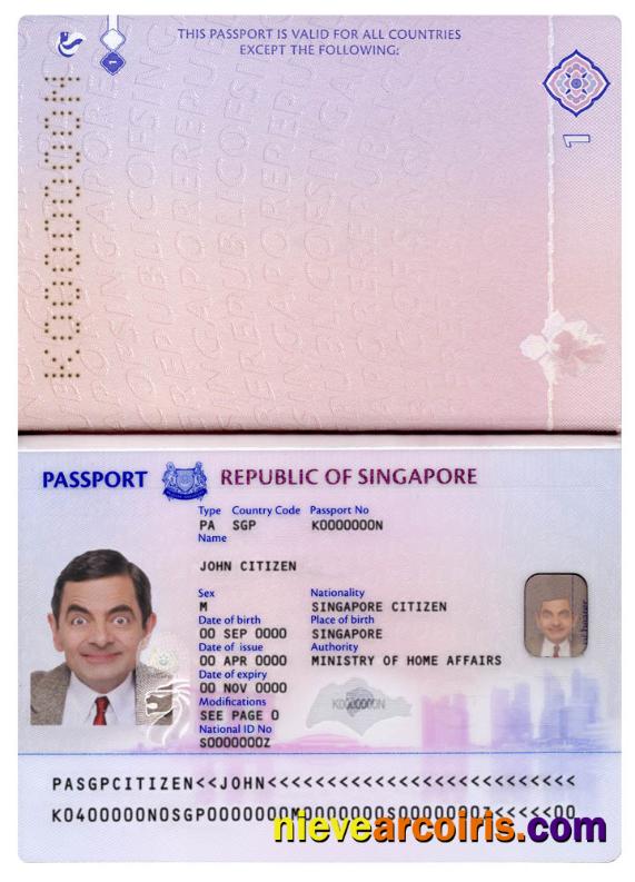 Singapore New Pass (2017+) Preview