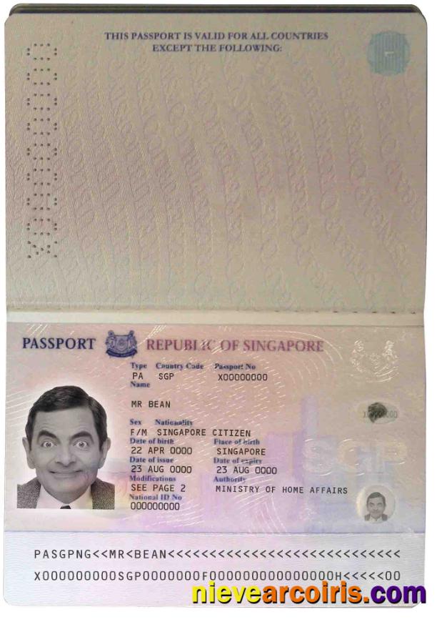 Singapore Pass (2006 2017) Photolook