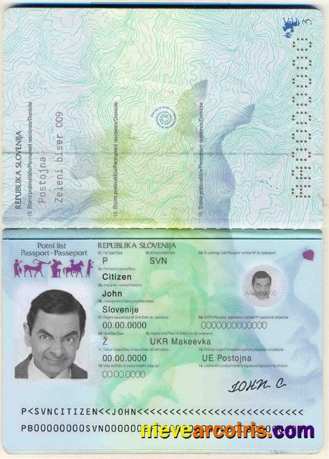 Slovenia Passport Photolook