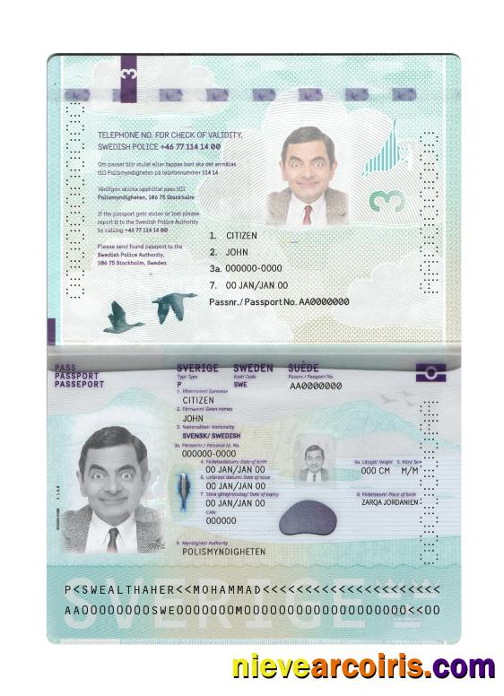 Sweden Passport New 2022 Present Preview