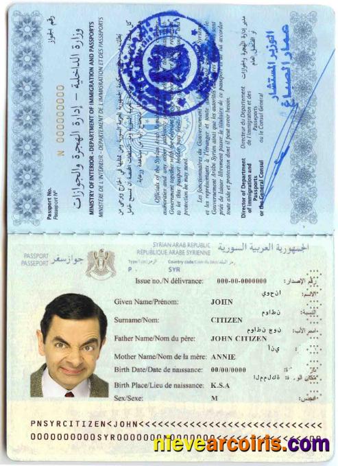 Syria Passport Preview