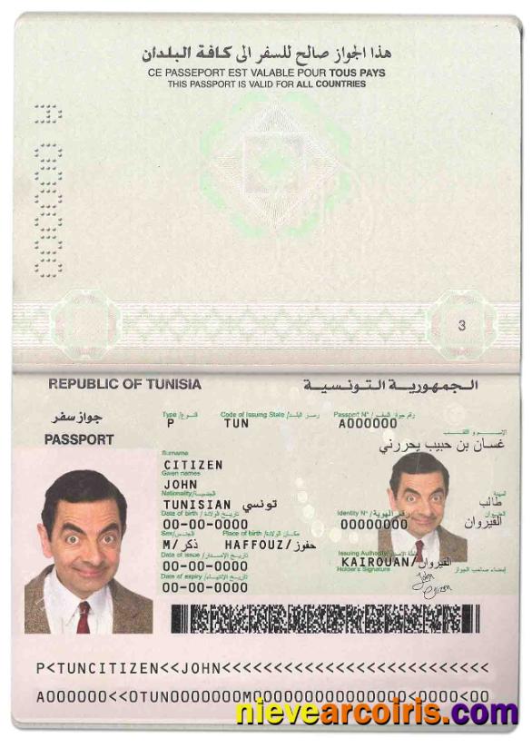 Tunisia Passport Photolook