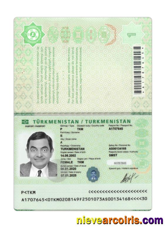 Turkmenistan Passport 2020 Present Photolook