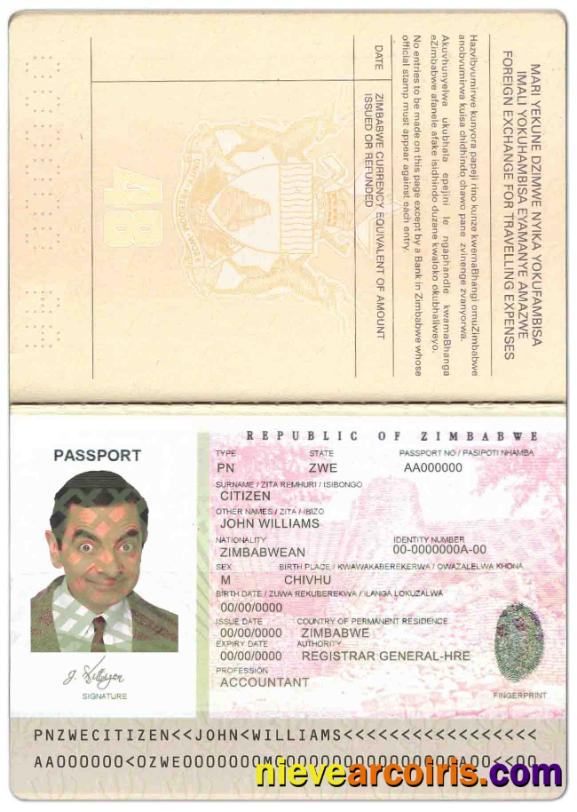 Zimbabwe Passport Photolook