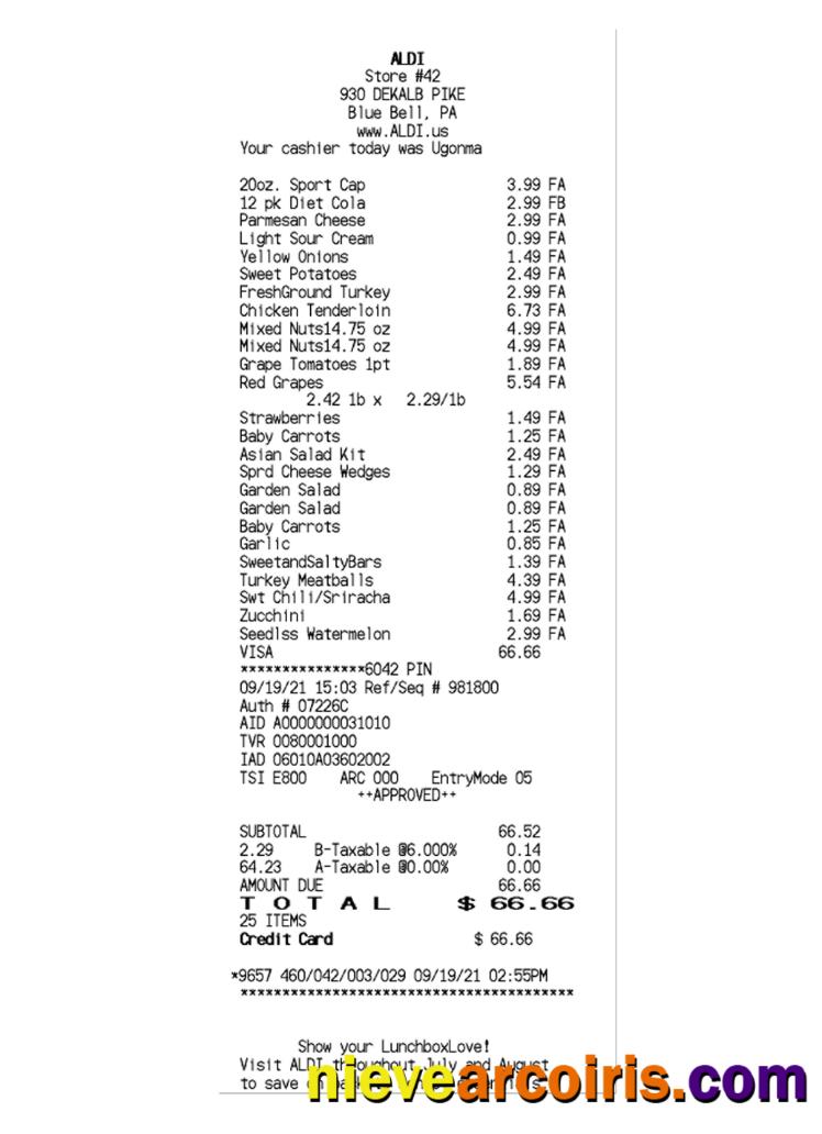 Premium ALDI STORE Receipt Template