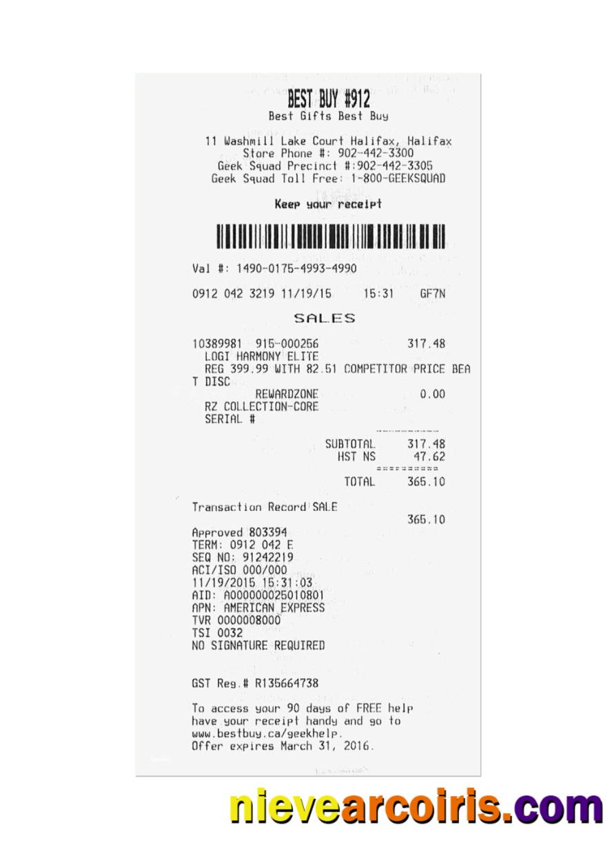 BEST BUY Payment Receipt Preview