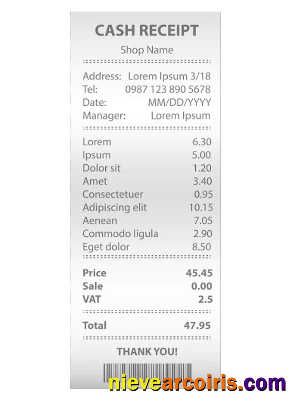 CASH Receipt Sample Preview