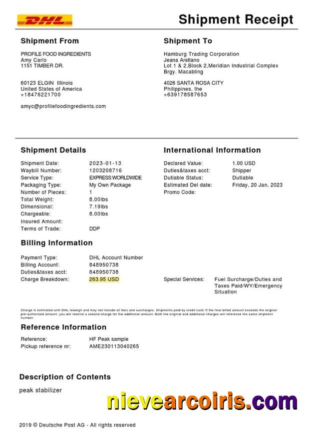 DHL Service Shipment Receipt Sample