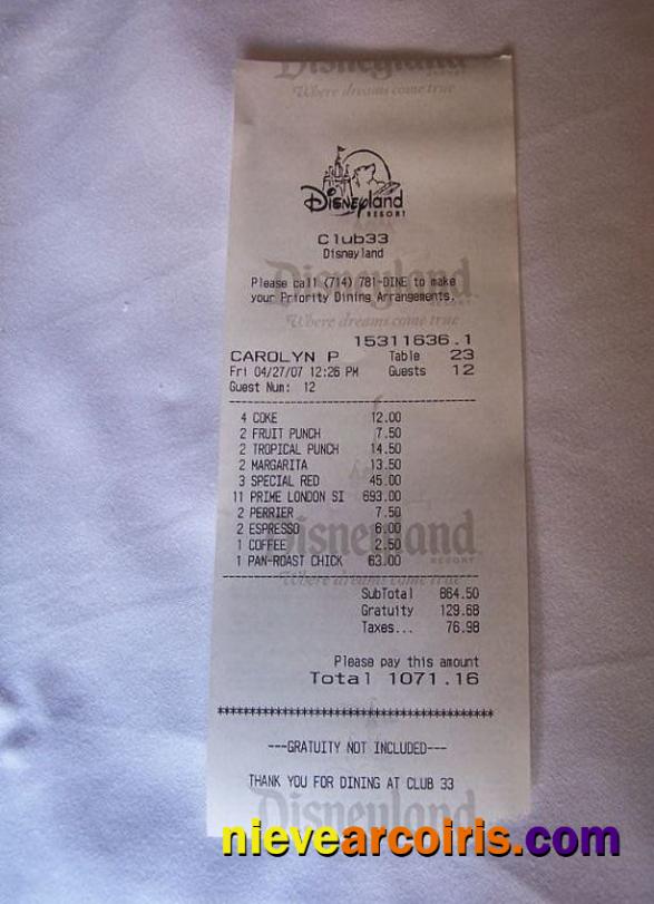 Disneyland Payment Receipt Sample