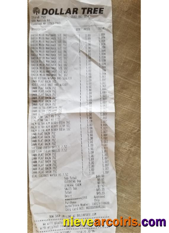 Dollar Tree Store Check Sample