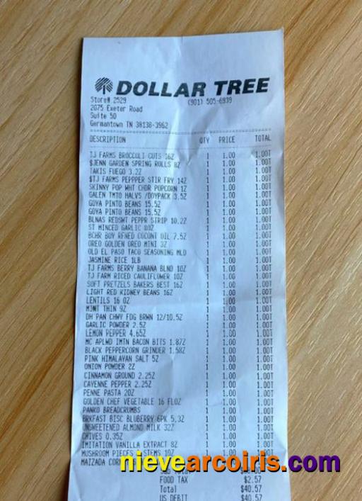 Dollar Tree Store Payment Receipt Photolook