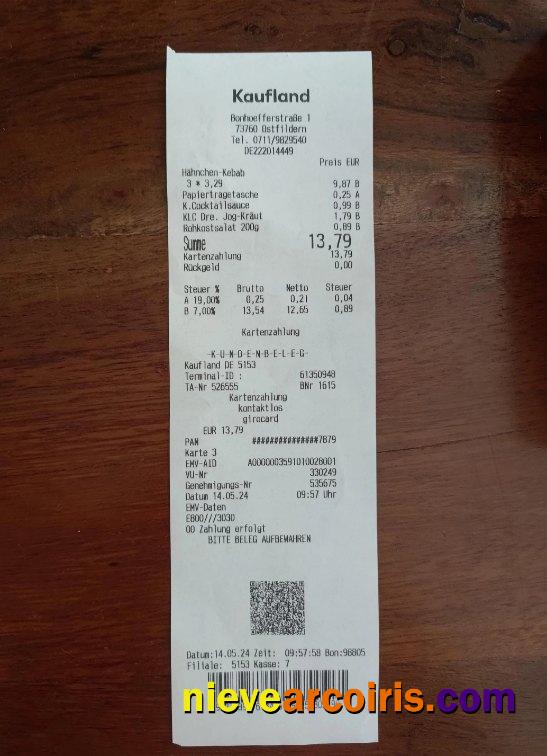 Germany Kaufland Payment Receipt Preview