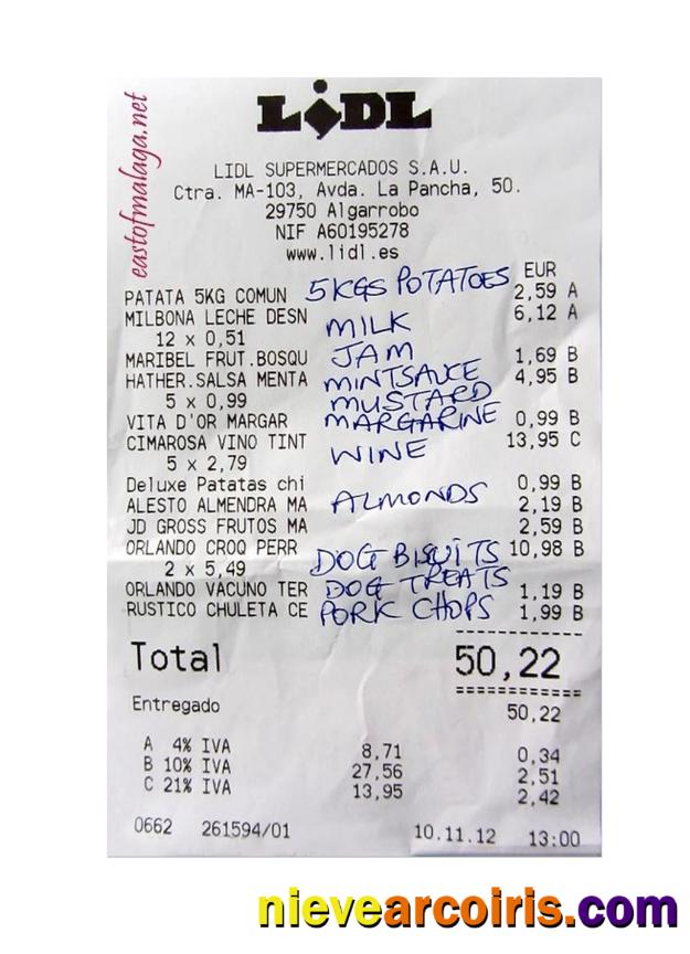 LIDL Payment Receipt Template