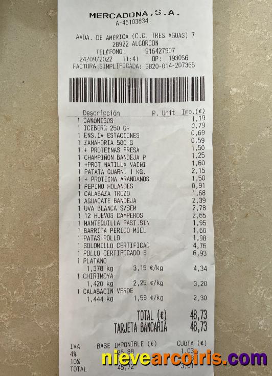 Mercadona Payment Receipt Template