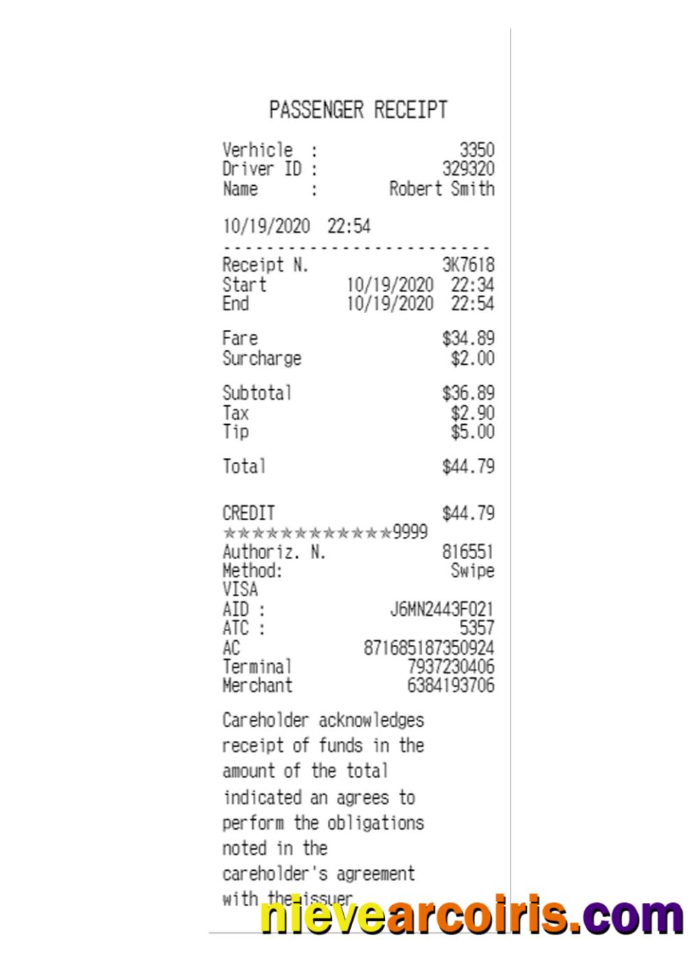PASSENGER Receipt Template