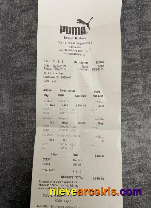 Puma Store Payment Check Preview