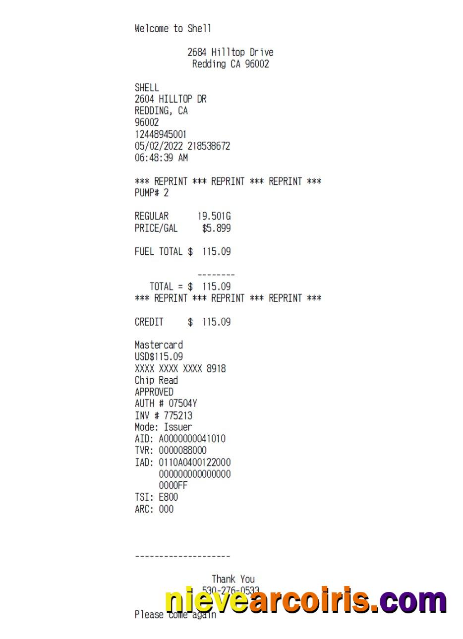 Shell Global Payment Check Sample